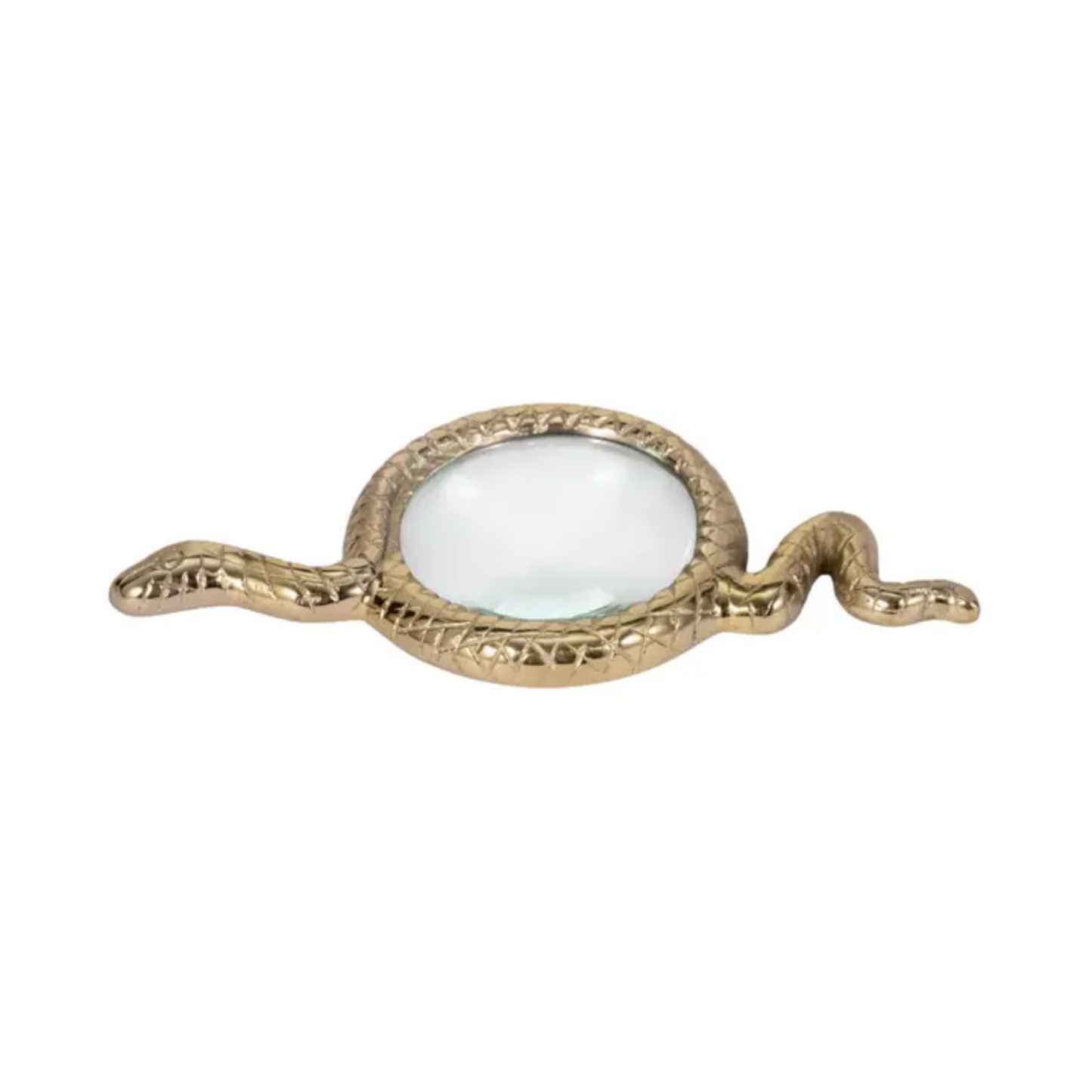 Gold Snake Magnifying Glass