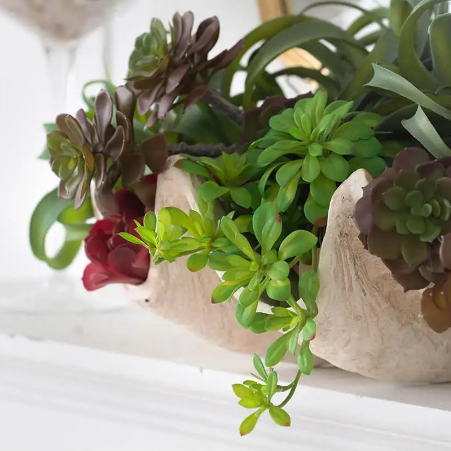 Succulent - Decor