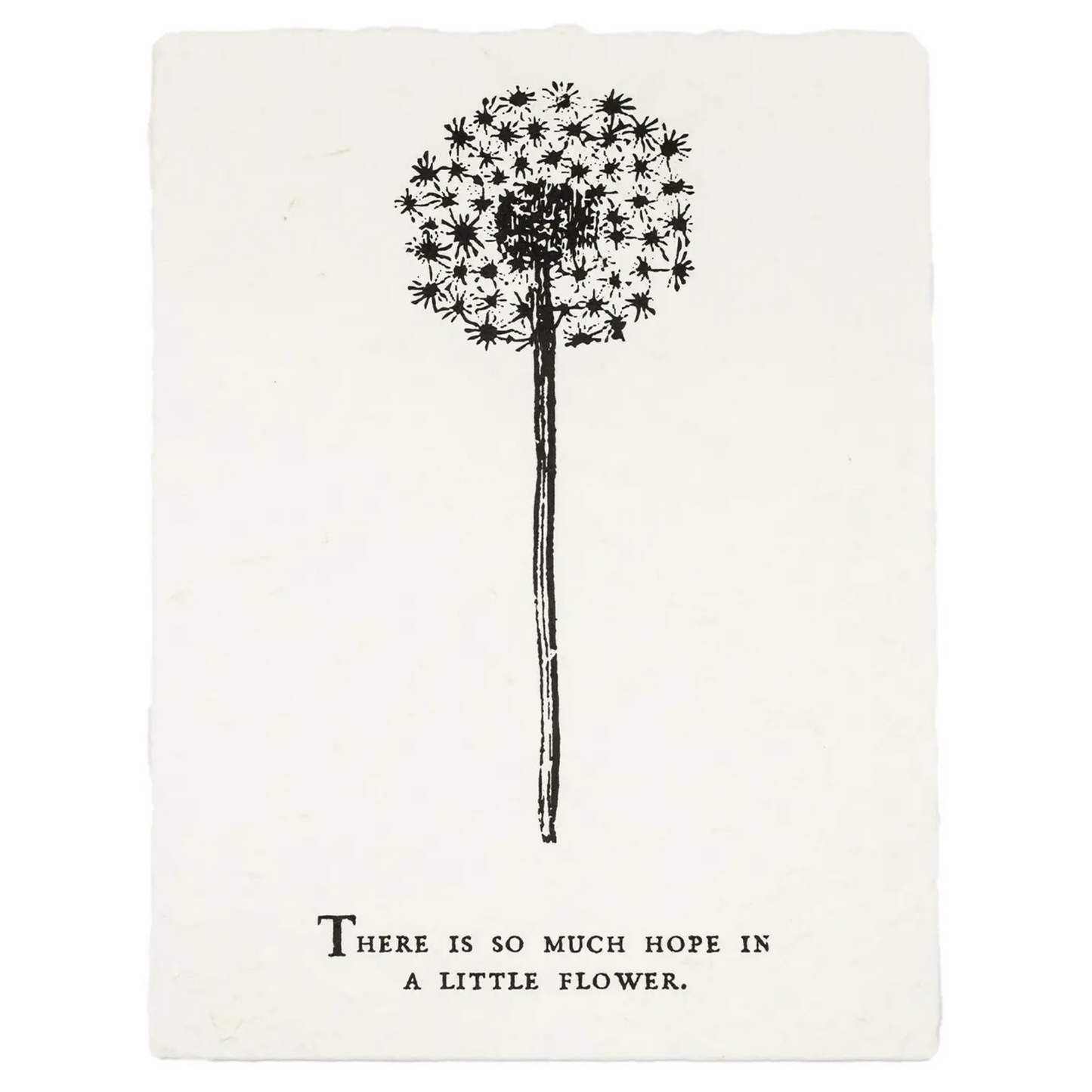 There Is So Much Hope Botanical Print