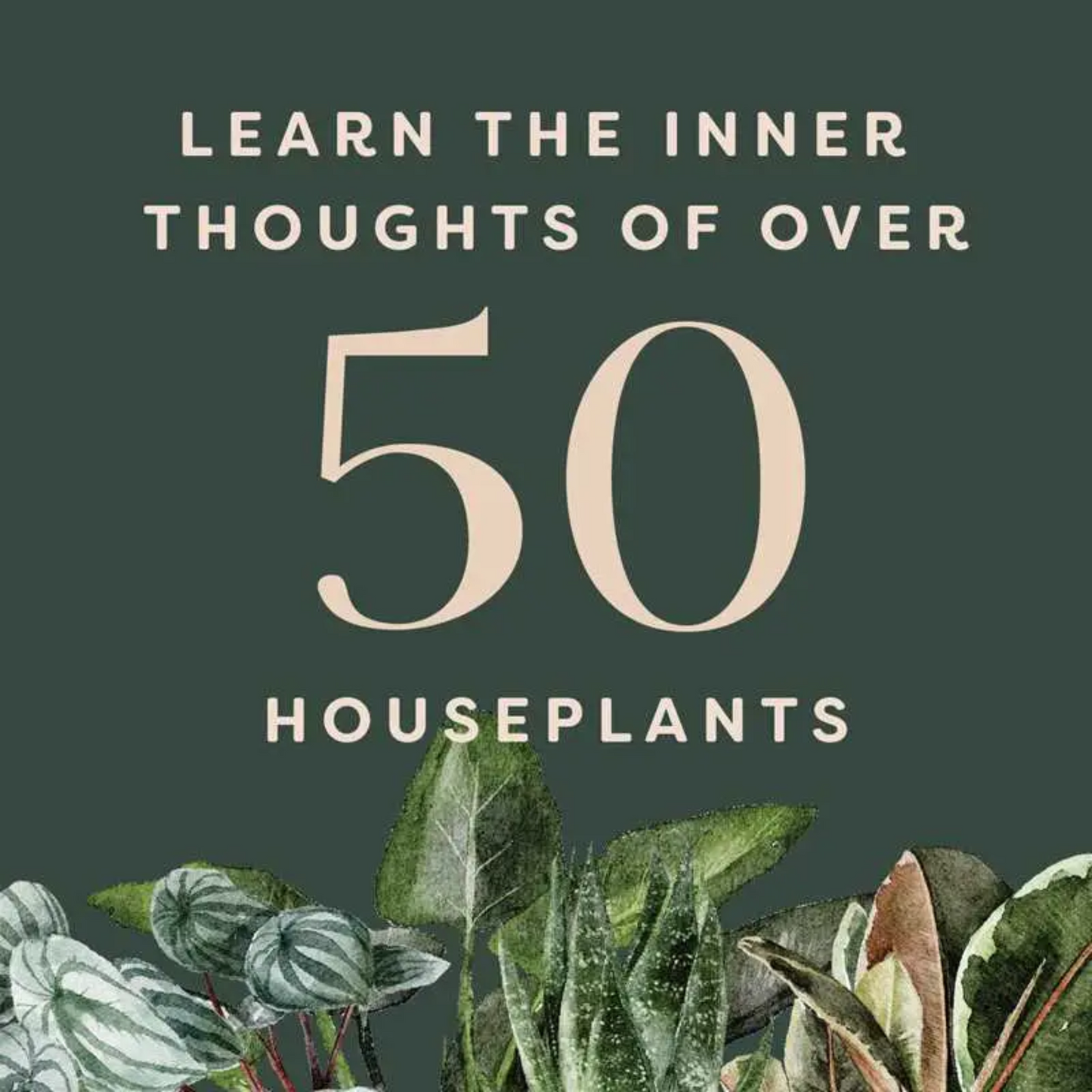 Houseplants and Their Fucked-Up Thoughts; Book