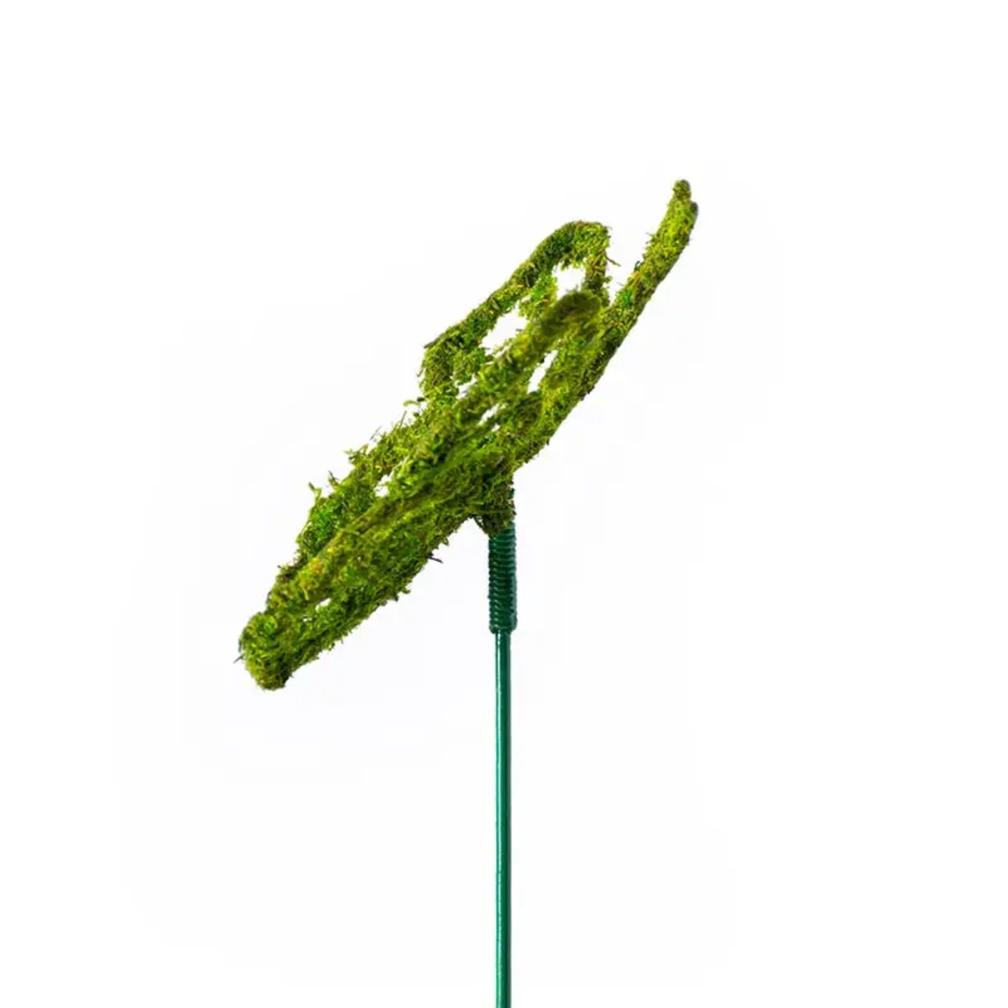 Monarch Moss Pick