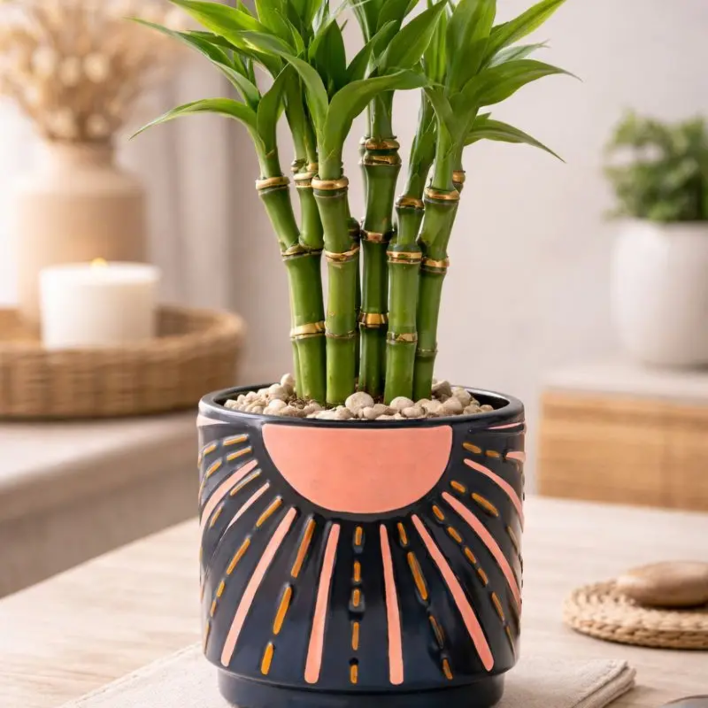 Sunshine Planter - Black & Coral