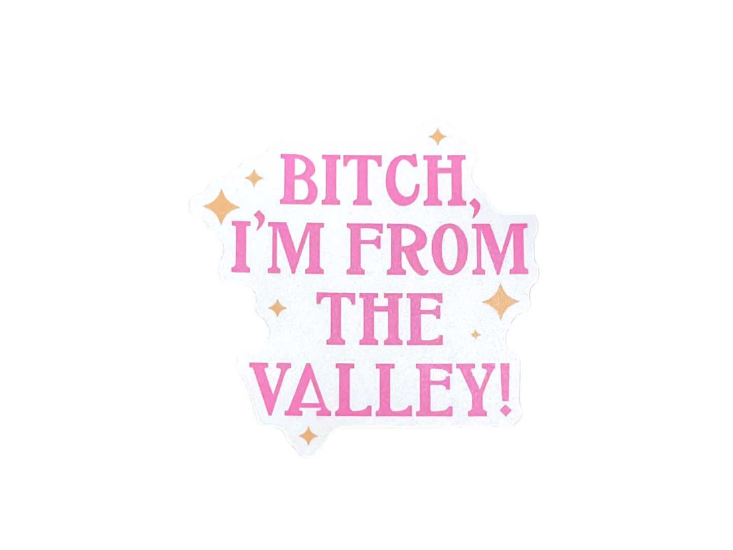Bitch I'm From the Valley Sticker