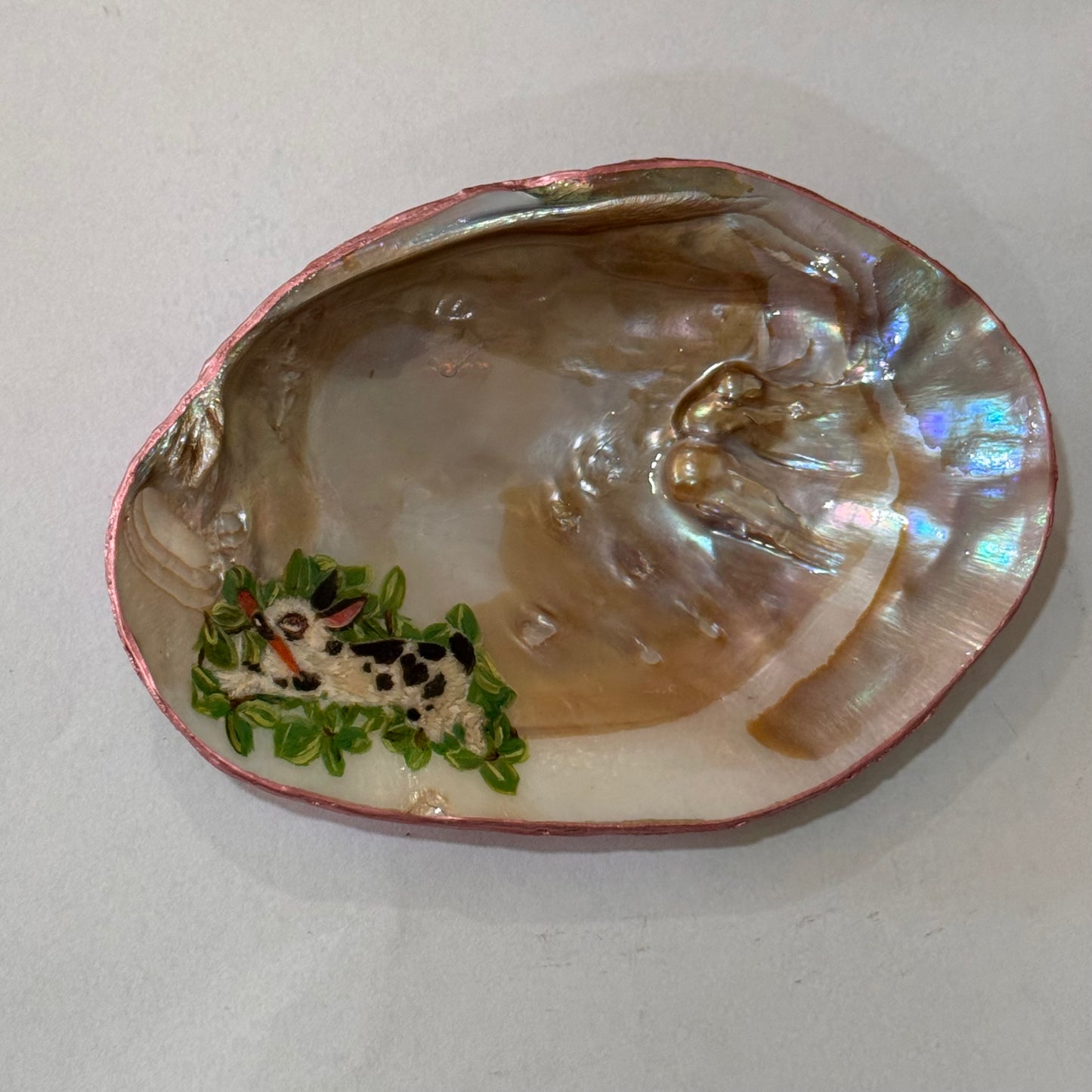 Clam Trinket Dish - Bunny