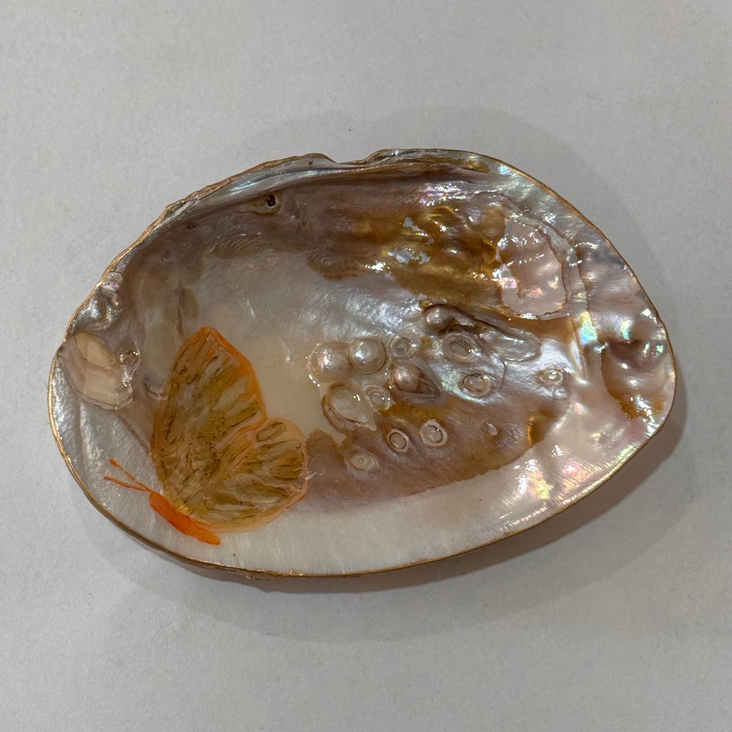 Clam Trinket Dish - Butterfly
