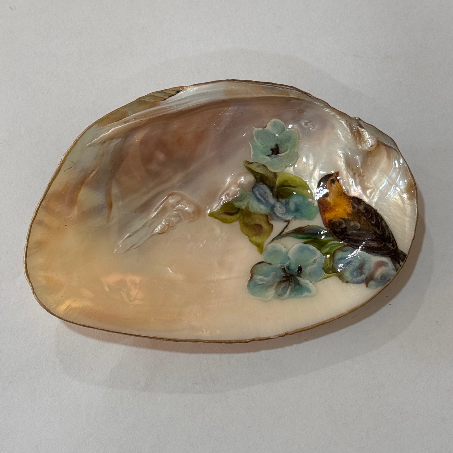 Clam Trinket Dish - Birds