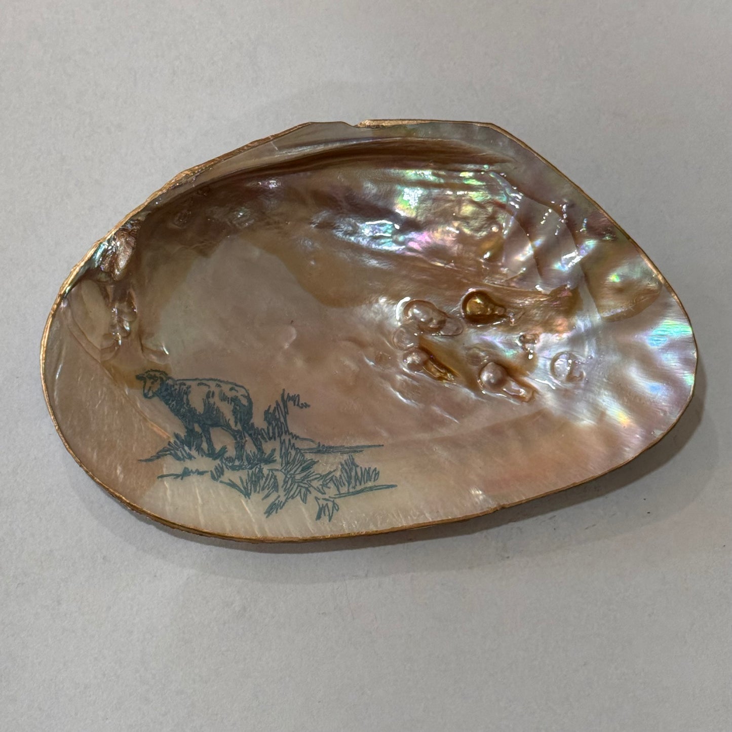 Clam Trinket Dish - Blue Herding