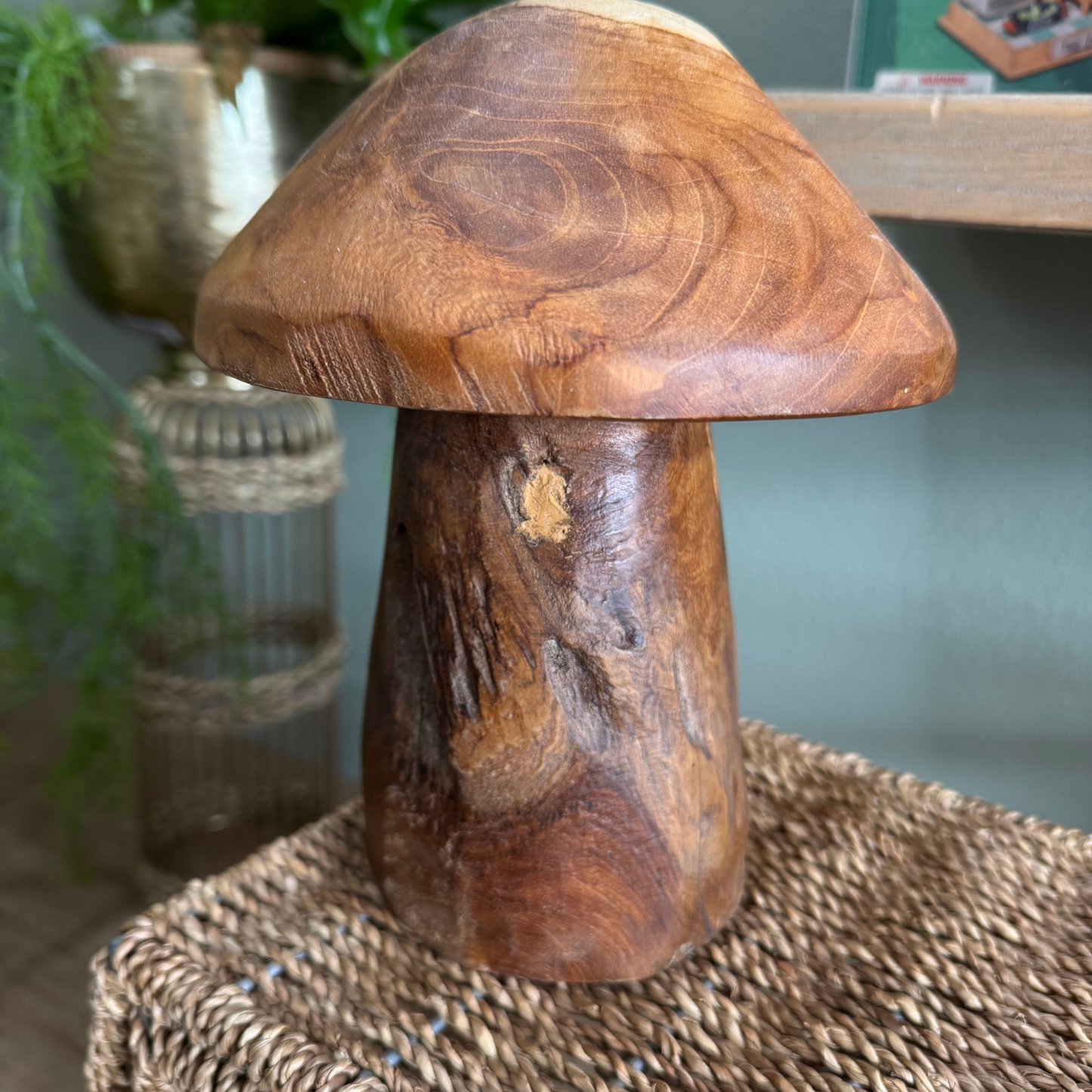 Teak Root Mushroom Large