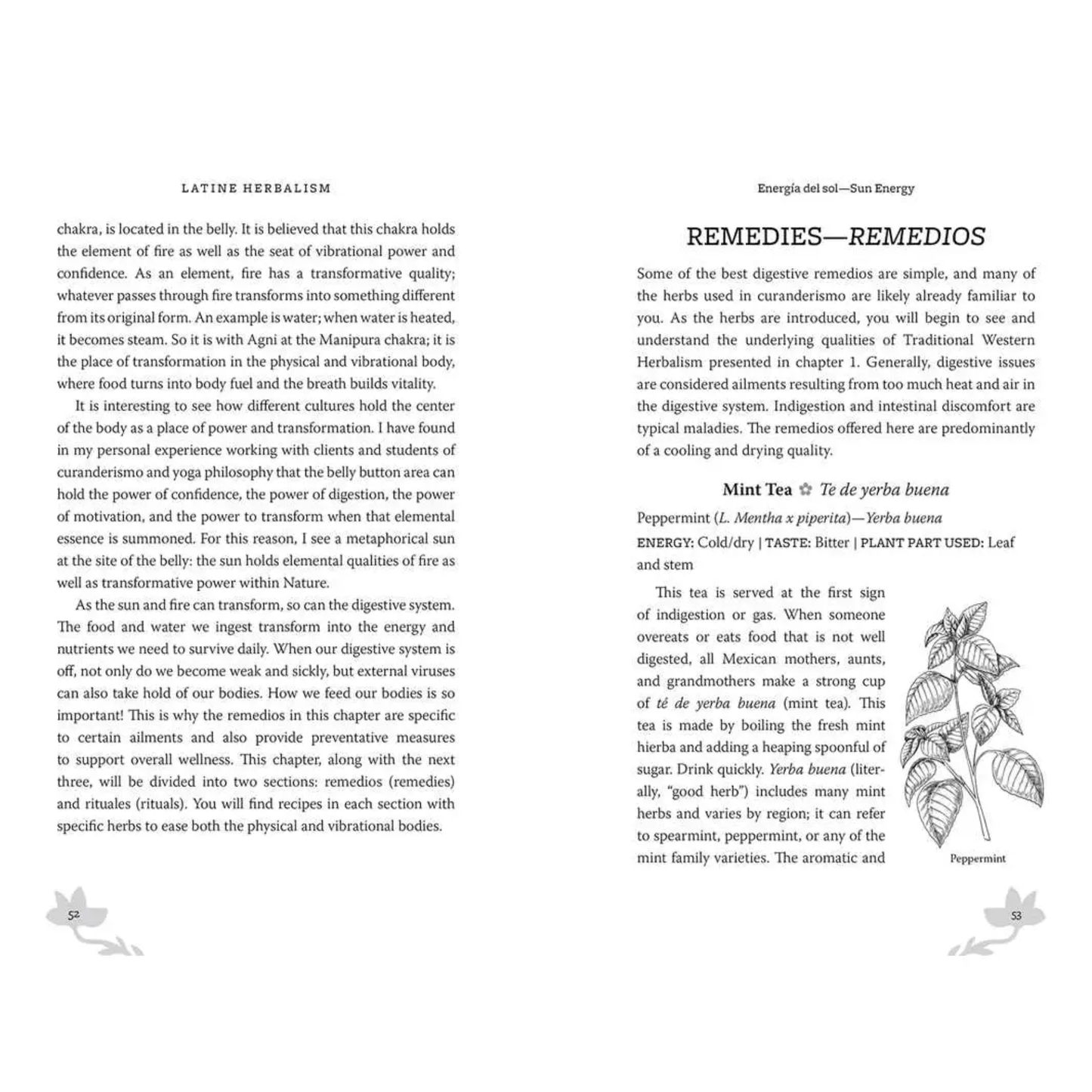 Latine Herbalism; Book