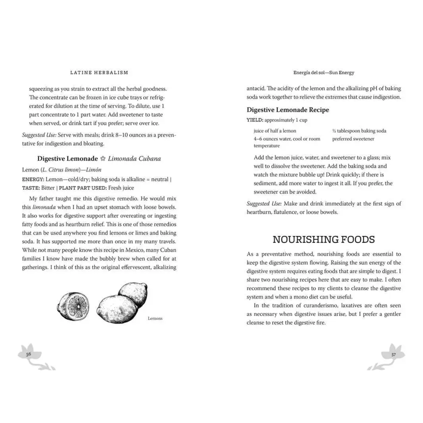 Latine Herbalism; Book