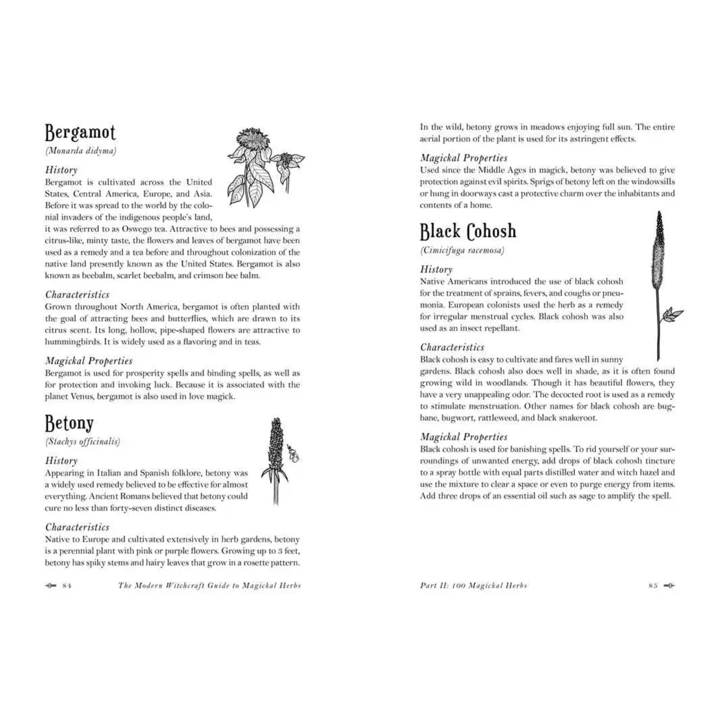 Modern Witchcraft Guide To Magickal Herbs; book