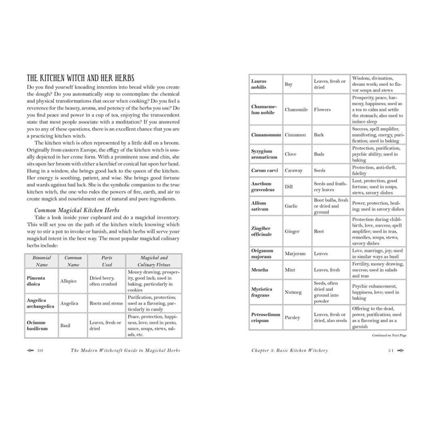 Modern Witchcraft Guide To Magickal Herbs; book