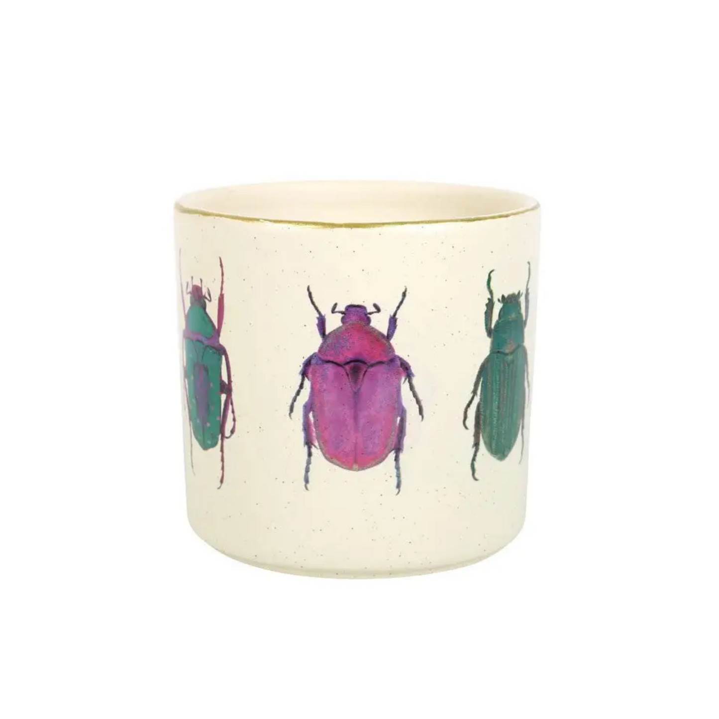 Beetle Plant Pot