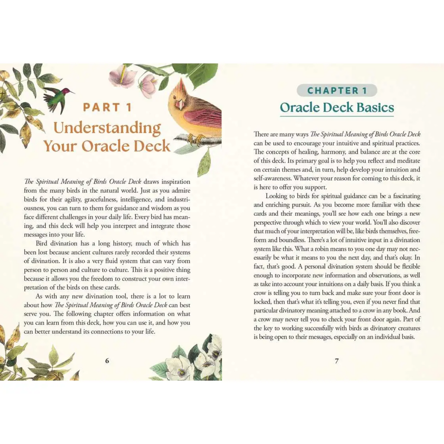 Spiritual Meaning of Birds Oracle Deck
