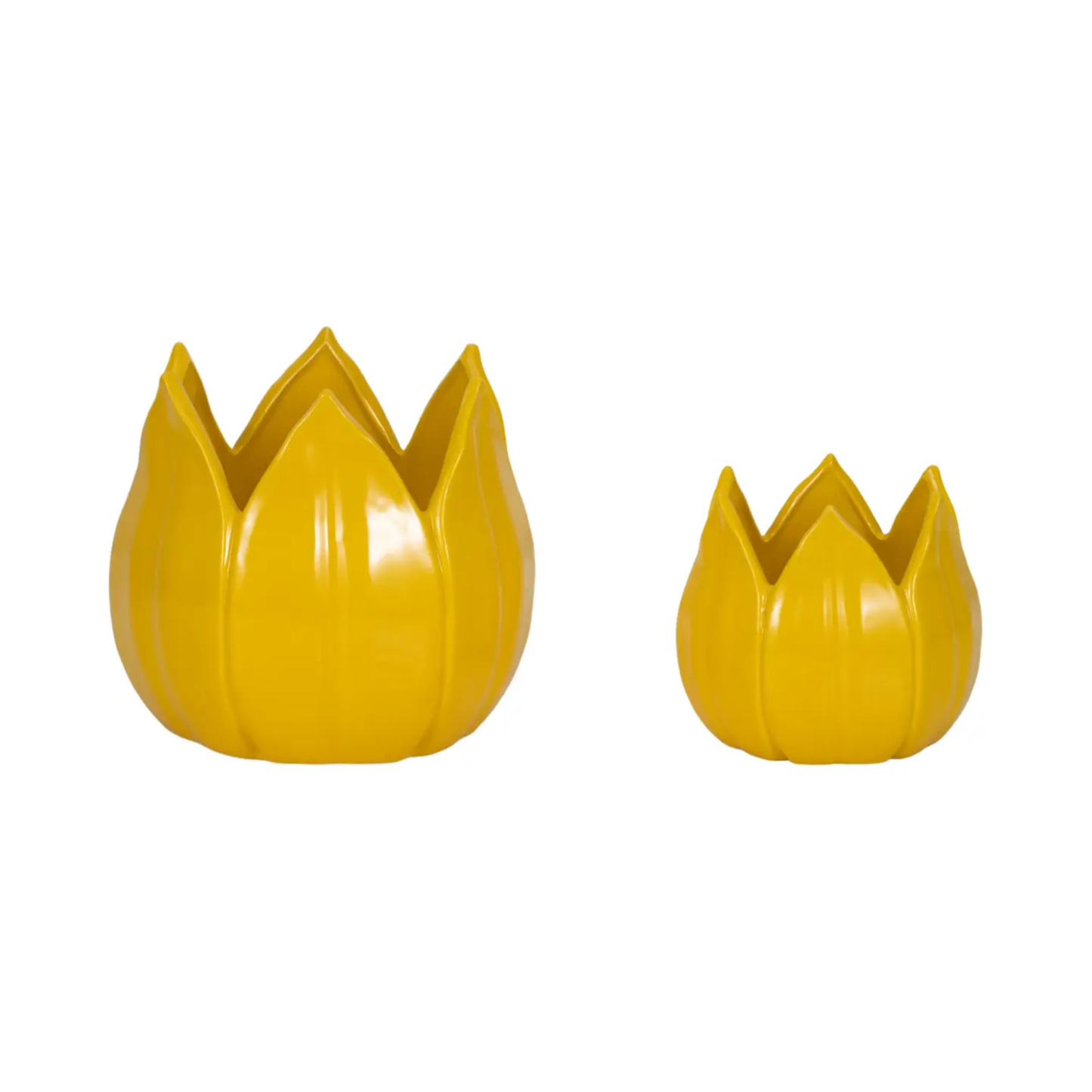 Yellow Petal Planters