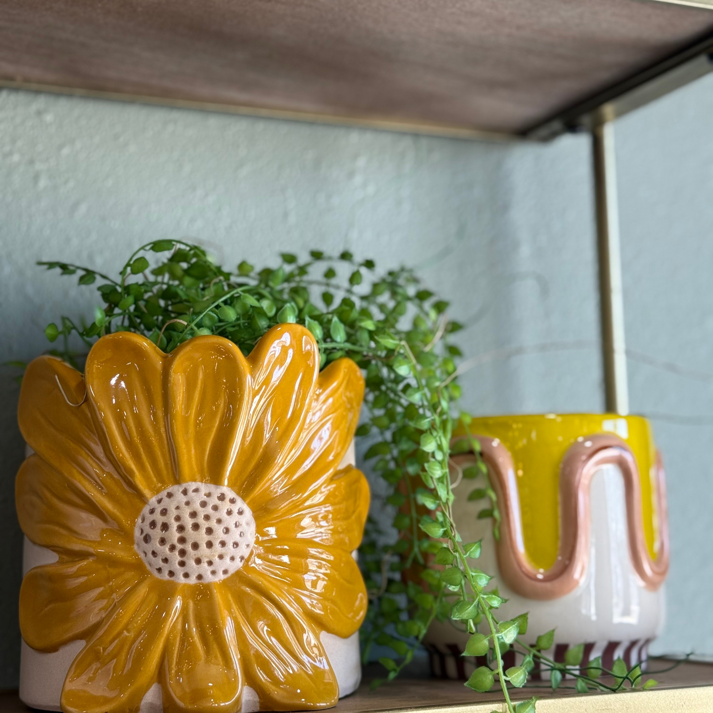 Sunflower Planter