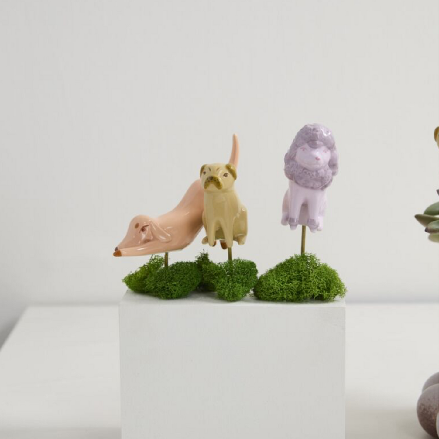 Pup Plant Sticks set of 3