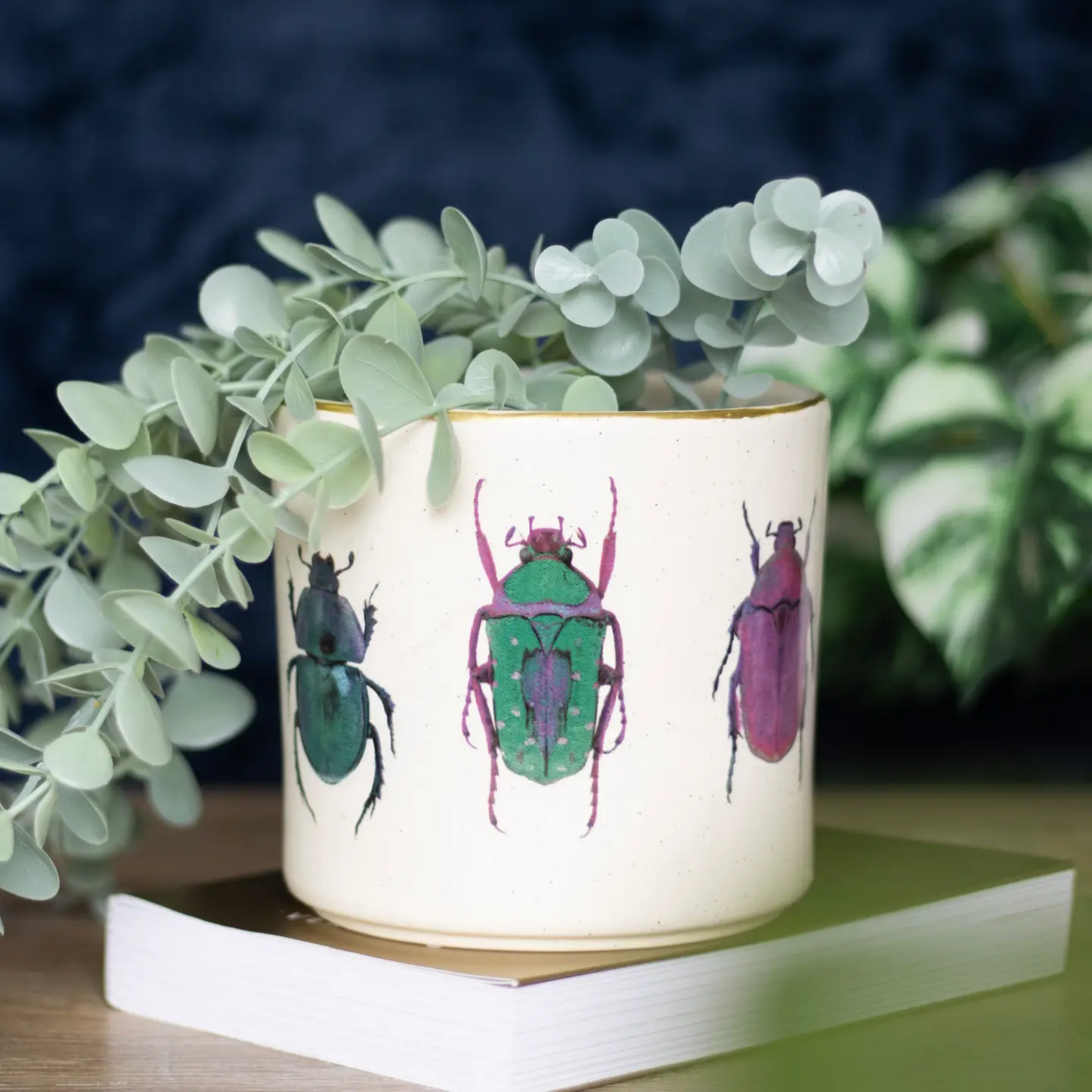 Beetle Plant Pot