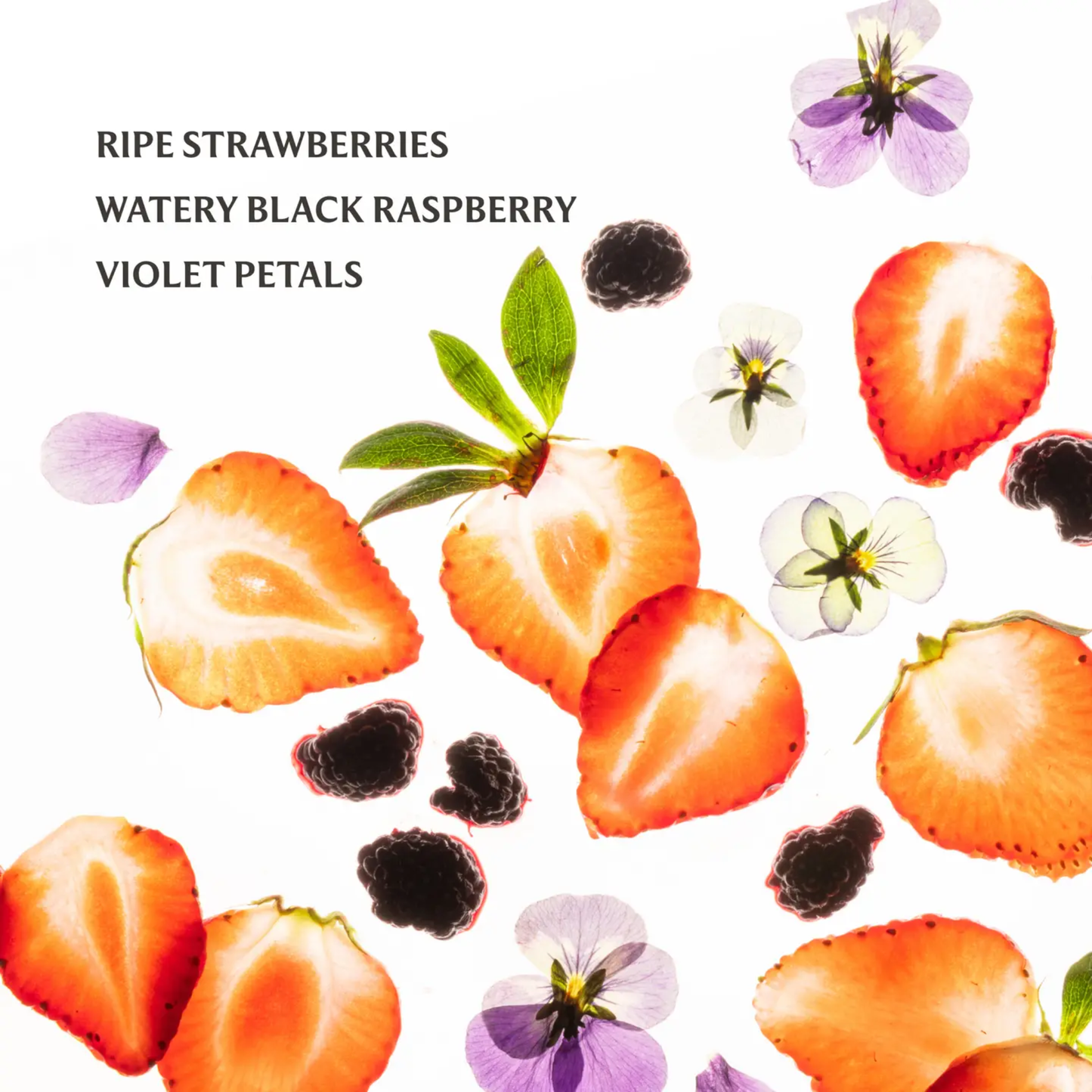 Berry Bliss - Hand Sanitizer