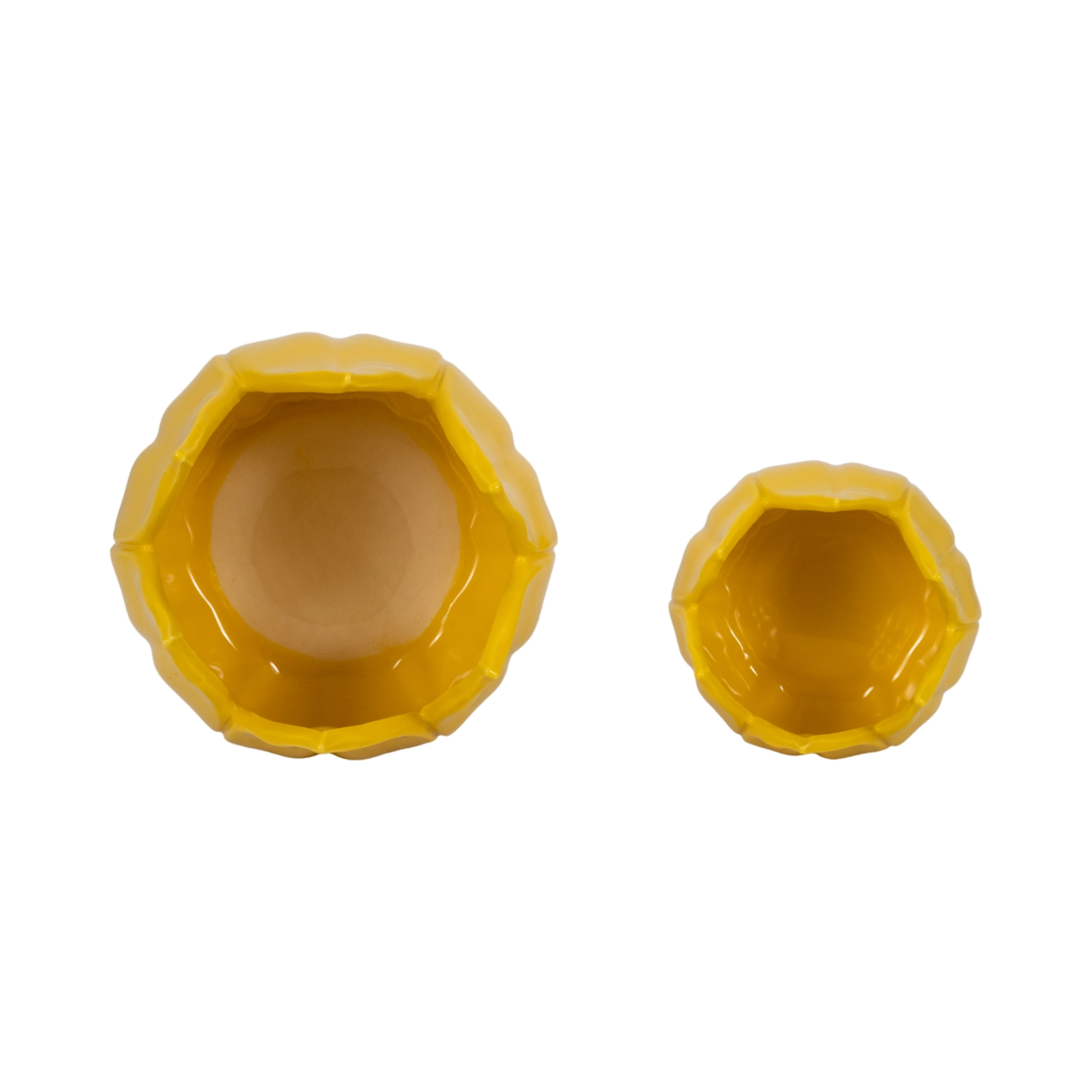 Yellow Petal Planters