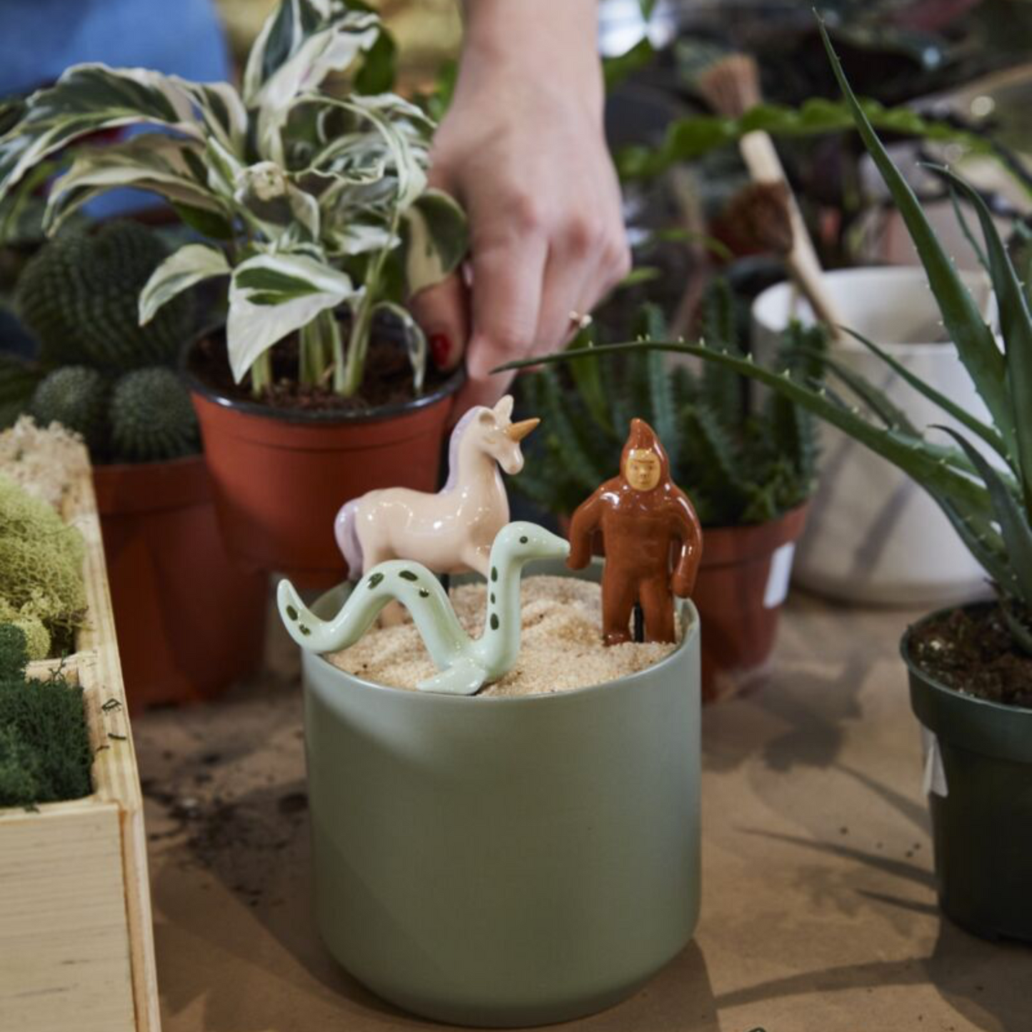 Mythical Creatures Plant Sticks set of 3