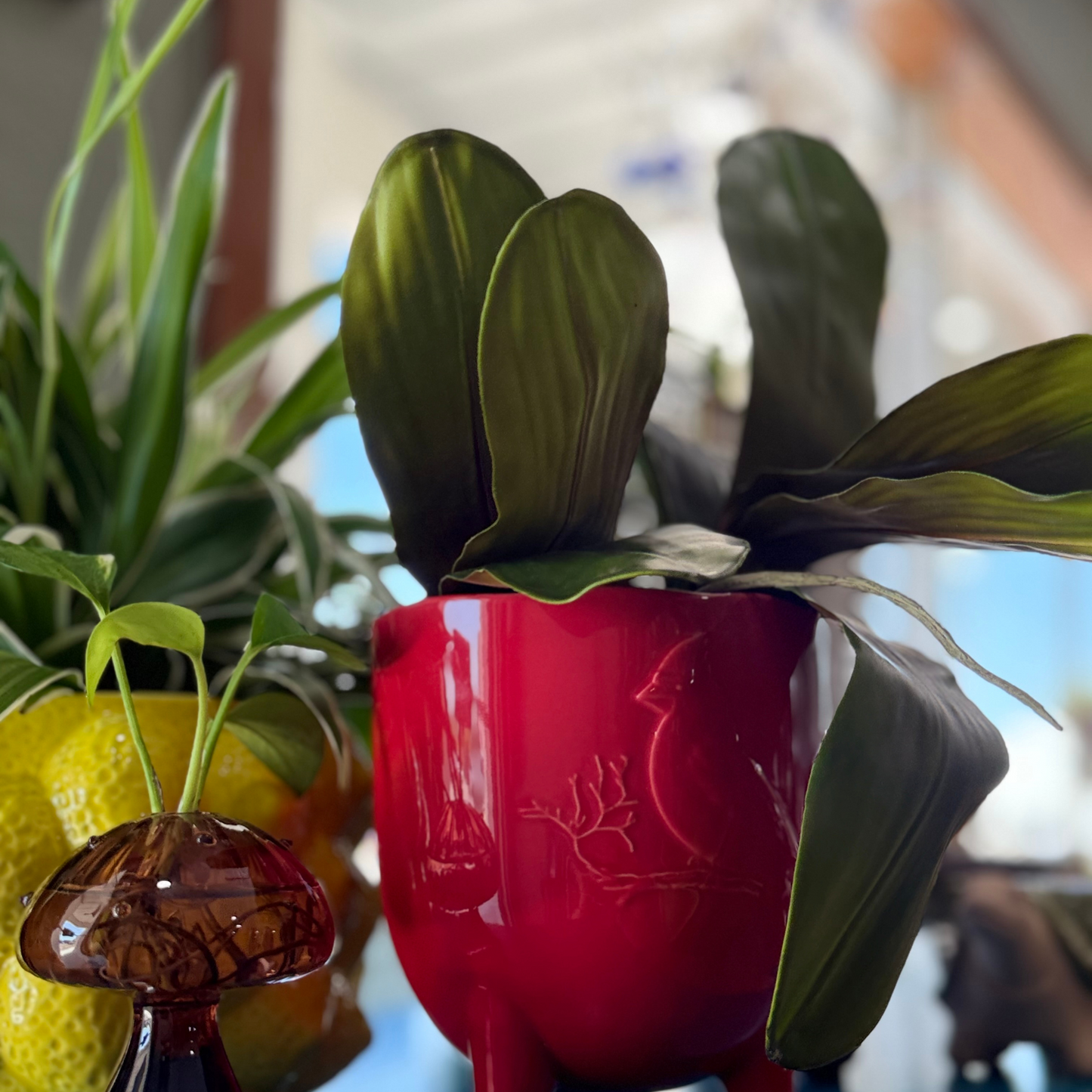 Cardinal Red Planter