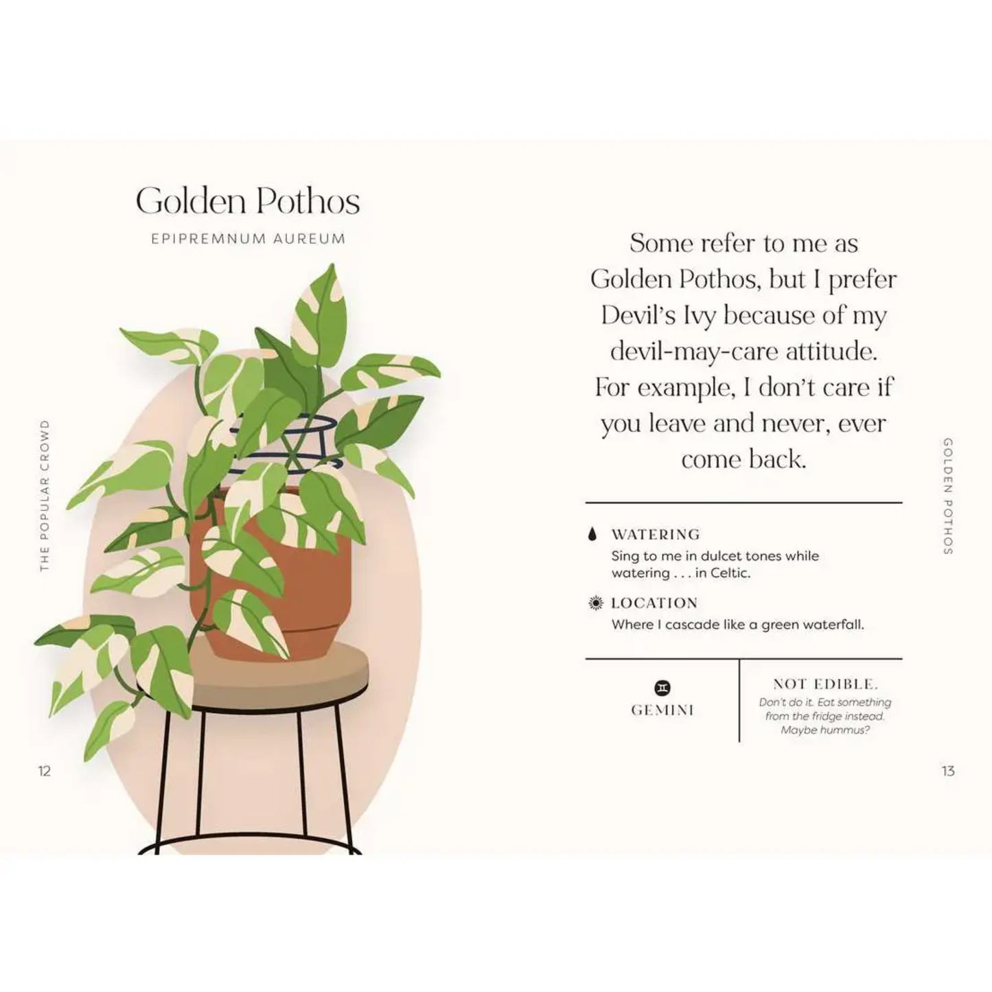 Houseplants and Their Fucked-Up Thoughts; Book