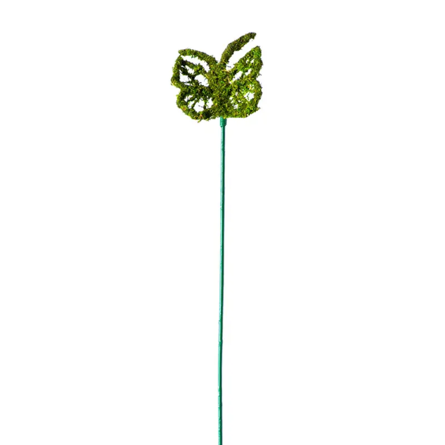 Monarch Moss Pick