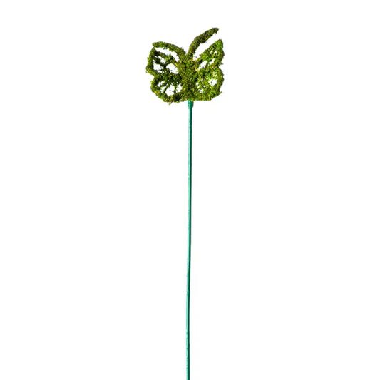 Monarch Moss Pick