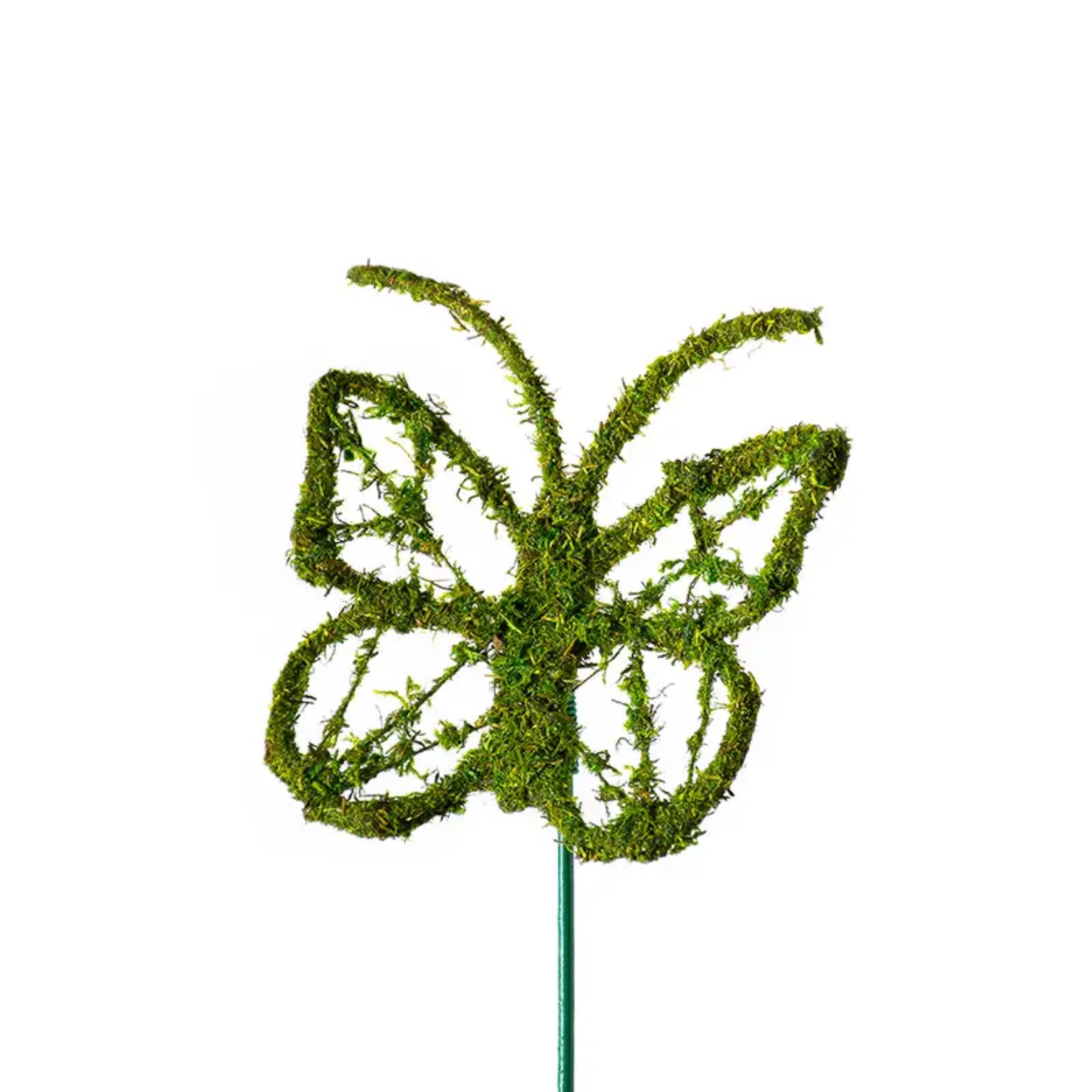 Monarch Moss Pick