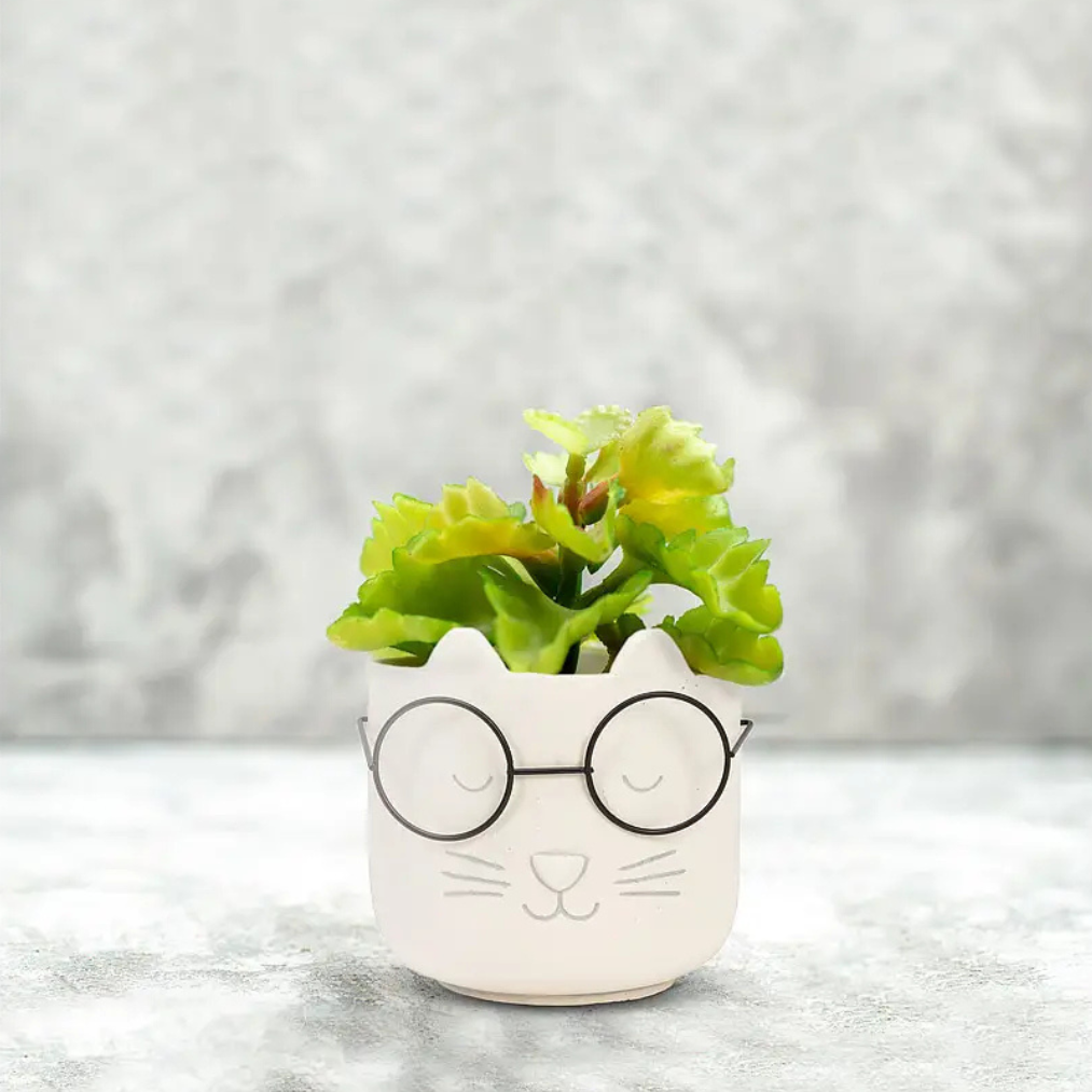 Lg Cat Face Planter w/Glasses