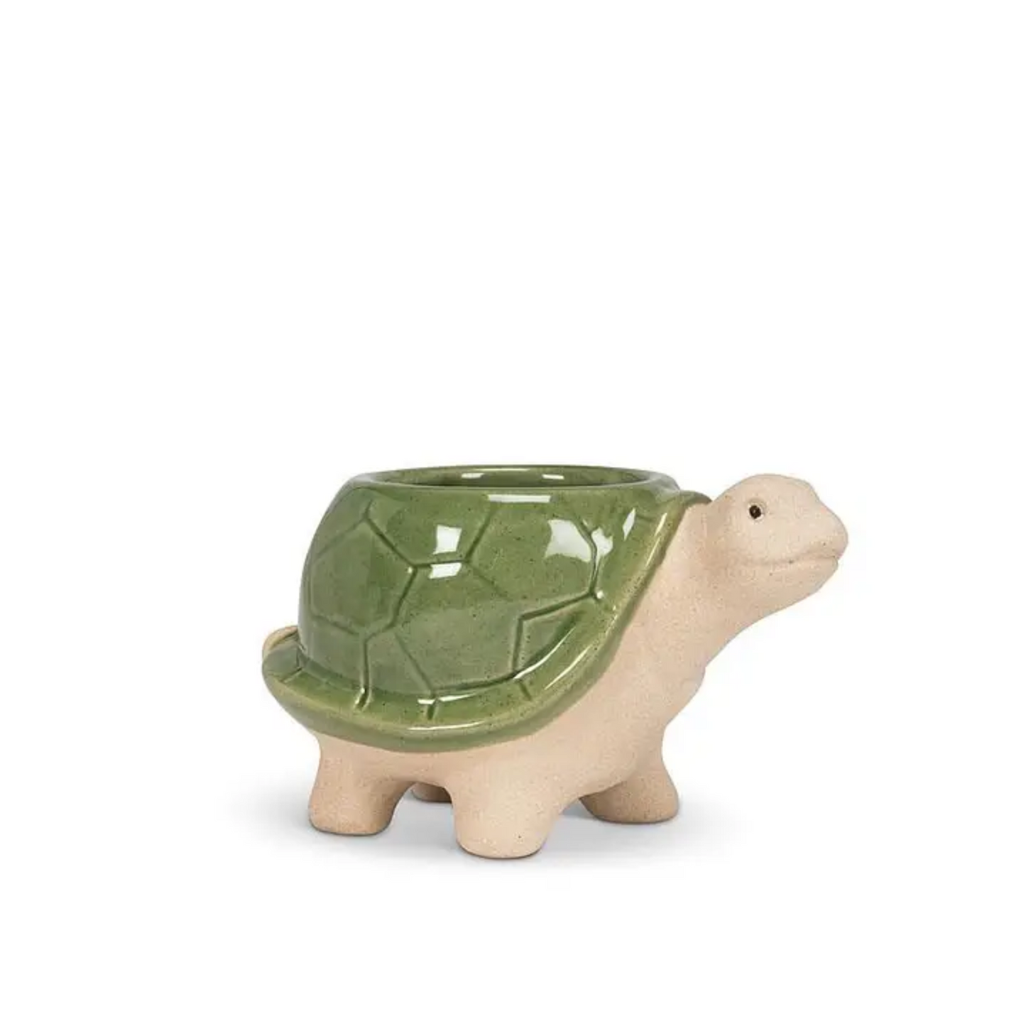Turtle Planter