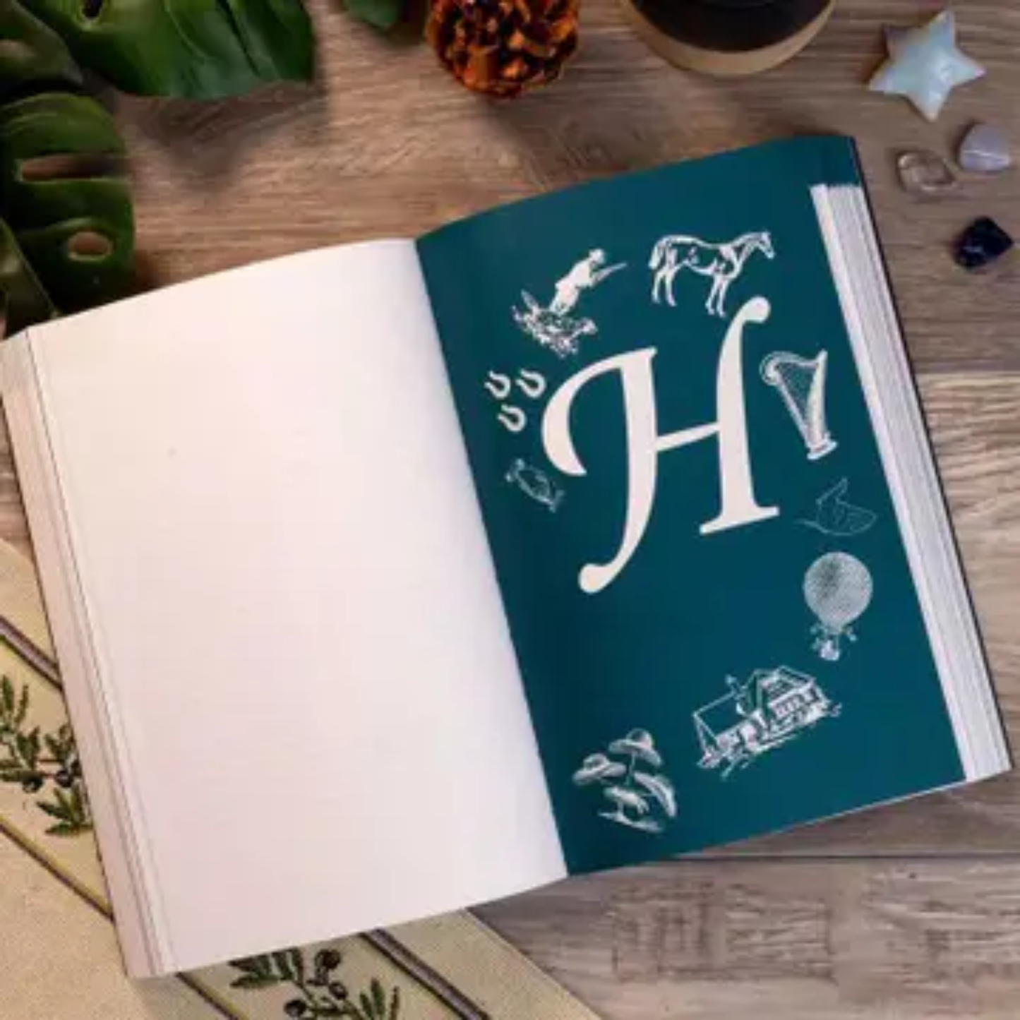 Dream Dictionary; Book