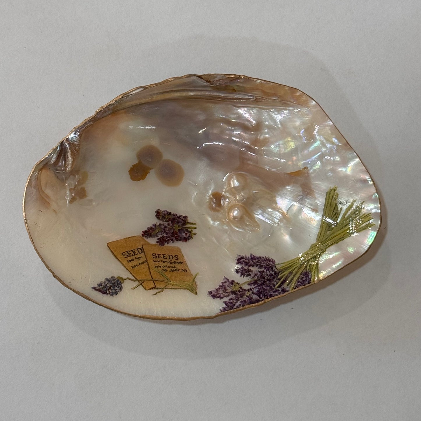 Clam Trinket Dish - Lavender