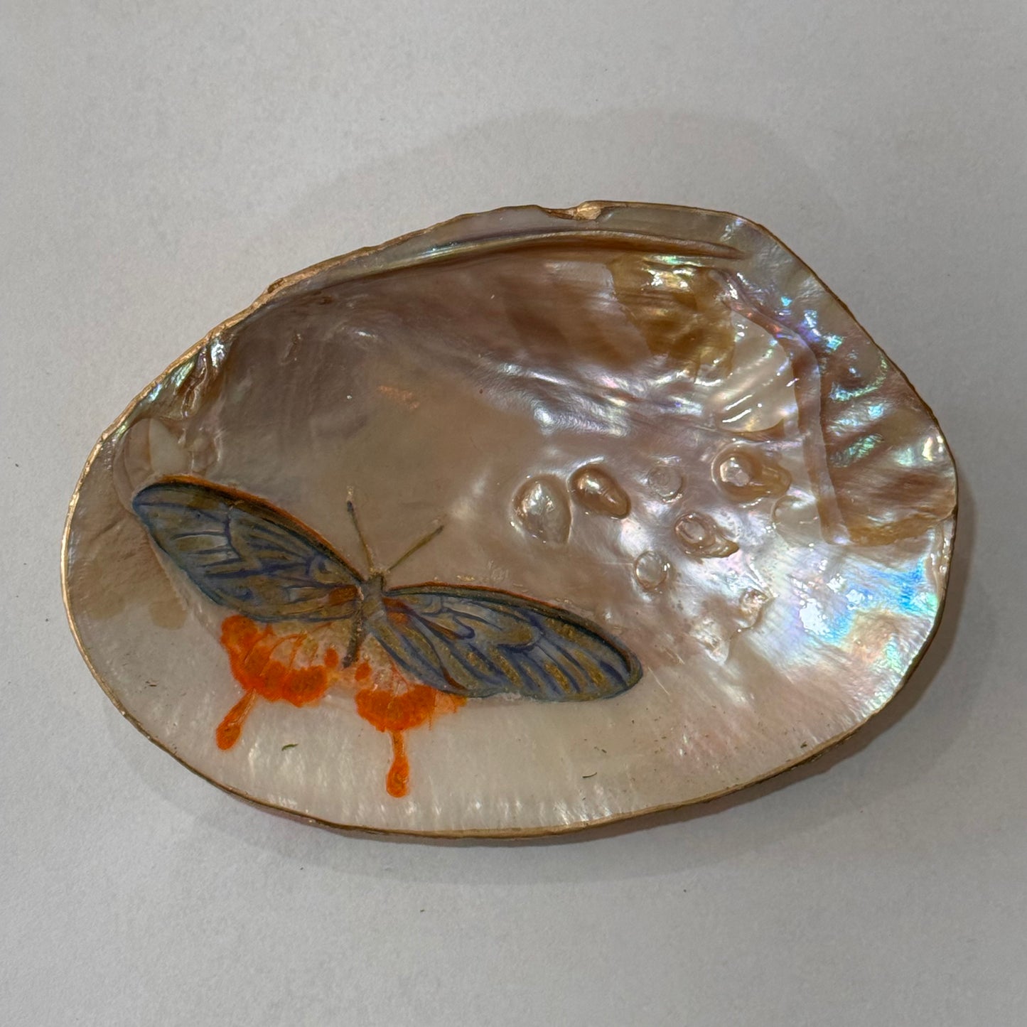 Clam Trinket Dish - Floral Butterfly