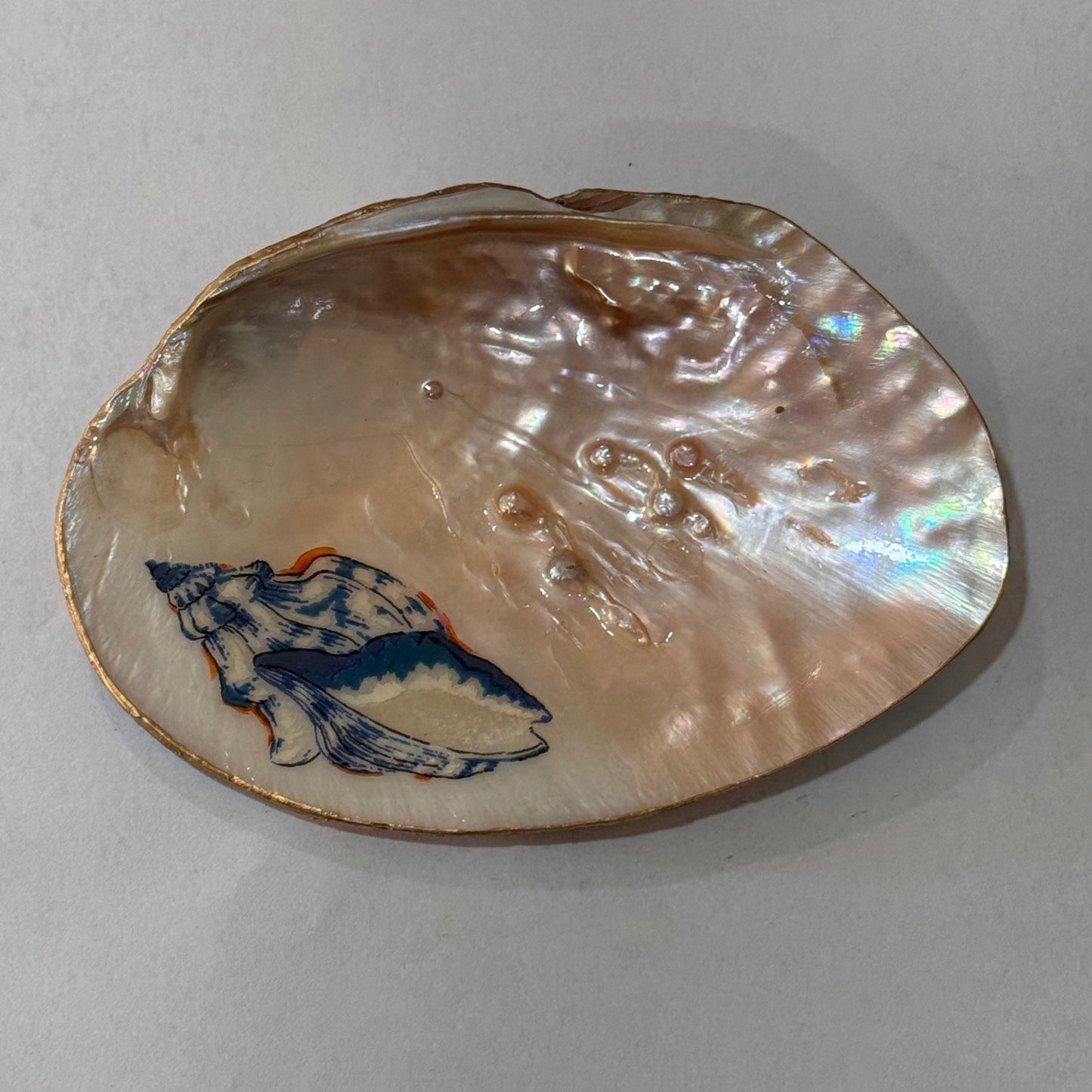 Clam Trinket Dish - Shells