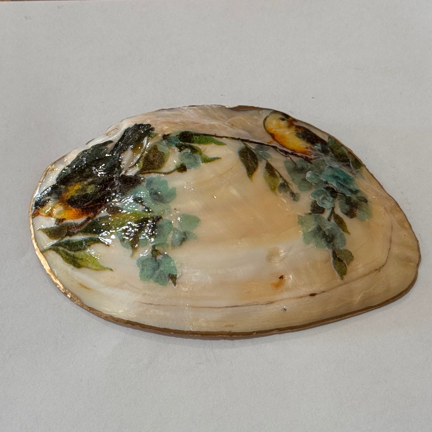 Clam Trinket Dish - Birds
