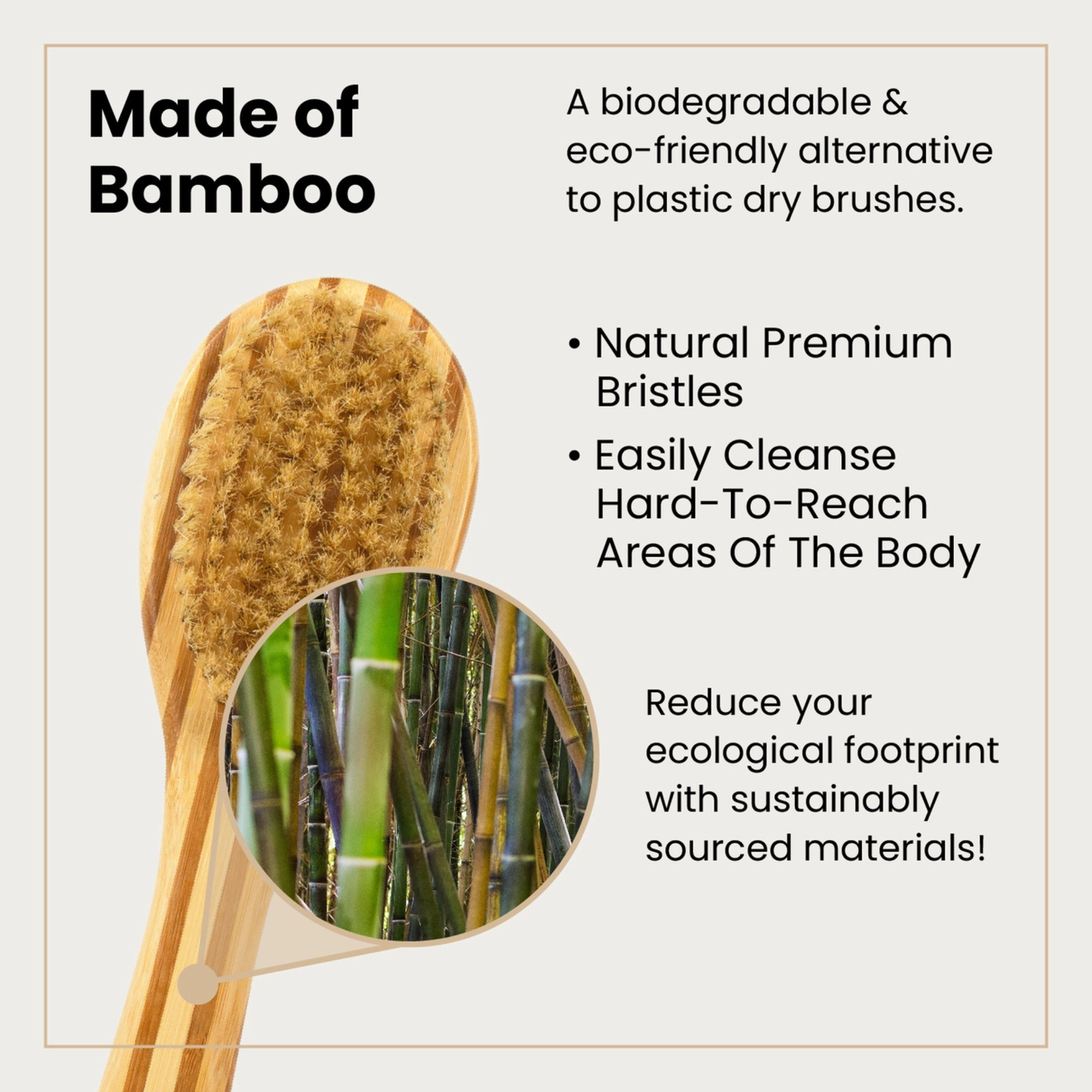 Bamboo Dry Brush w/ Long Handle