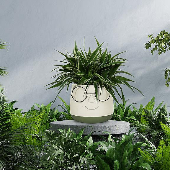 Face Planter w/ glasses