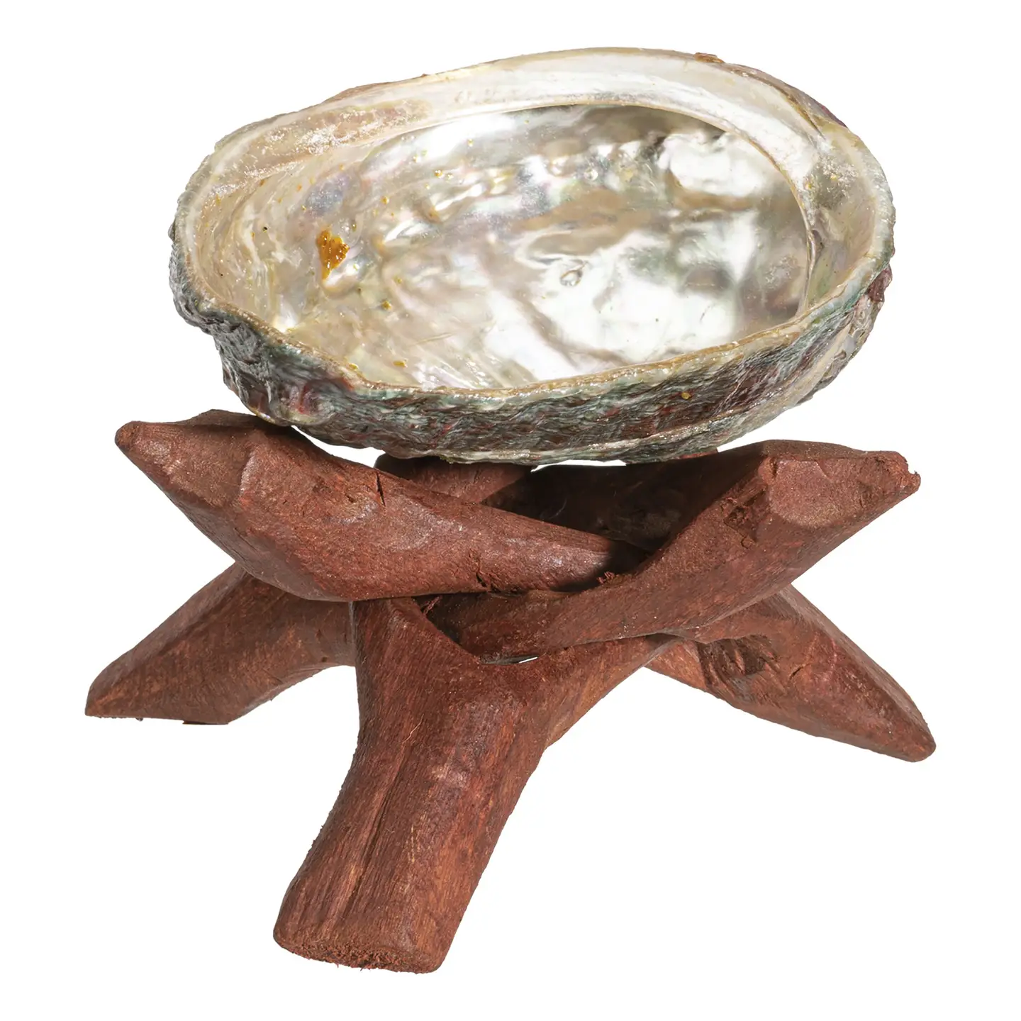 Abalone Shell w/ Stand