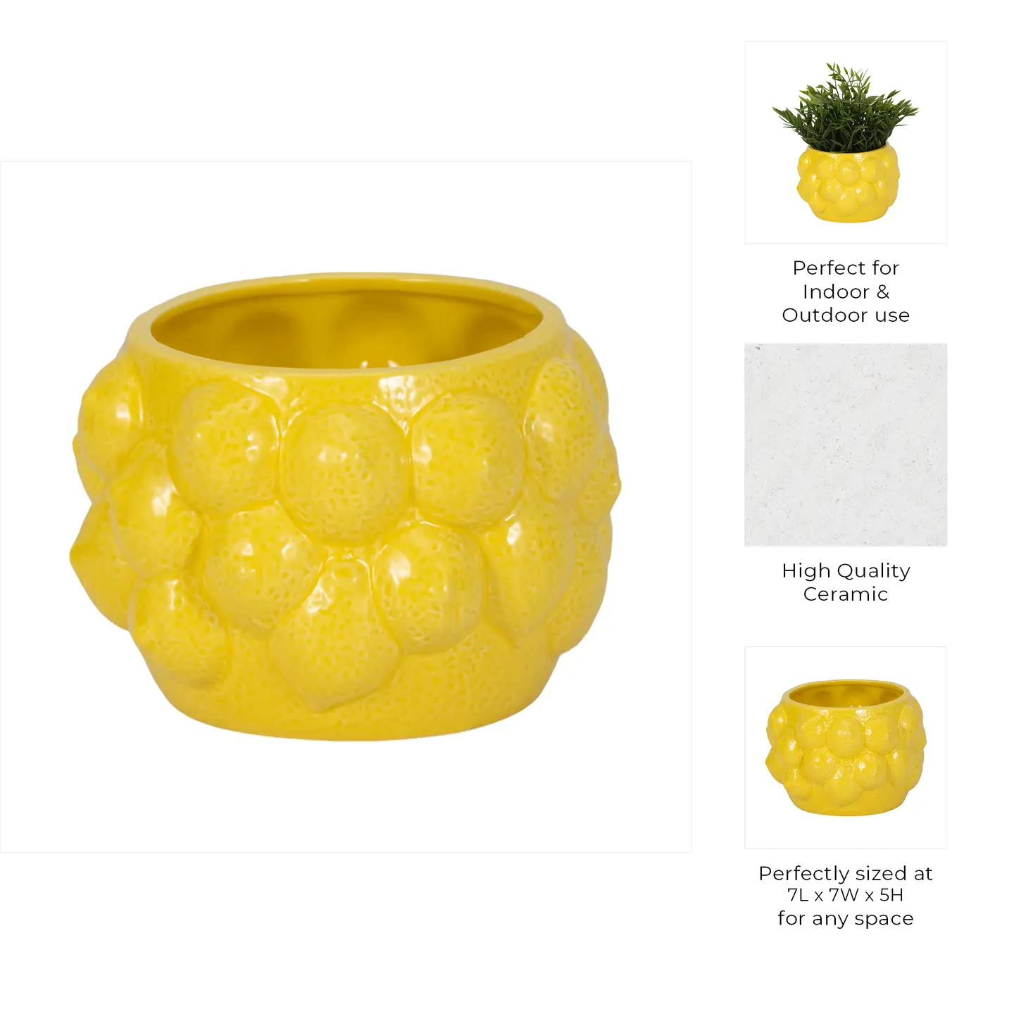 Lemons Flower Pot