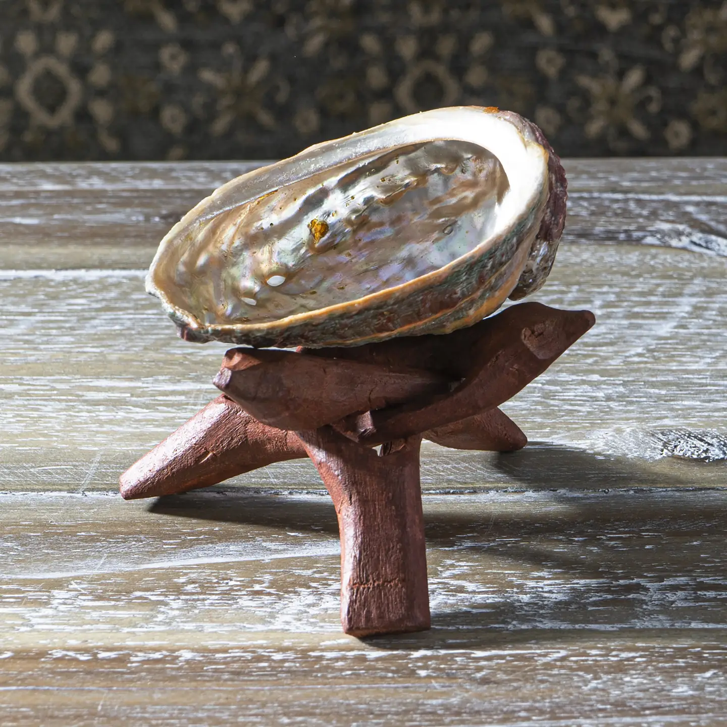 Abalone Shell w/ Stand